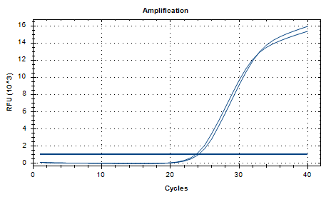 Aspergillus oryzae DNA Standard-BNCC