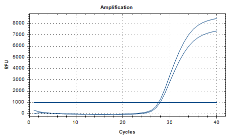 Influenza Haemophilus influenzae nucleic acid detection standard-BNCC