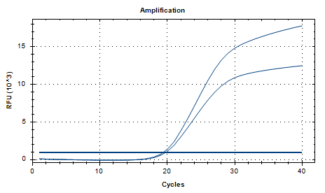 Aspergillus oryzae DNA Liquid Internal Quality Control Material-BNCC