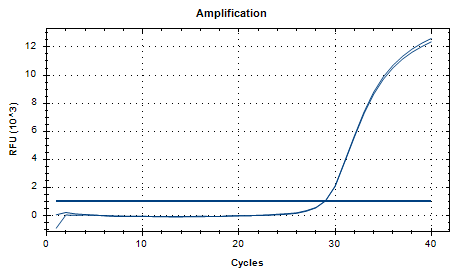 Mycoplasma hominis DNA standard-BNCC
