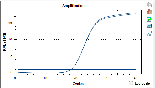 Dual pathway Prevotella DNA standard-BNCC