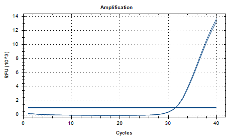 Aflatoxin DNA Standard-BNCC