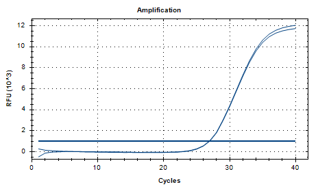Aspergillus niger DNA Standard-BNCC