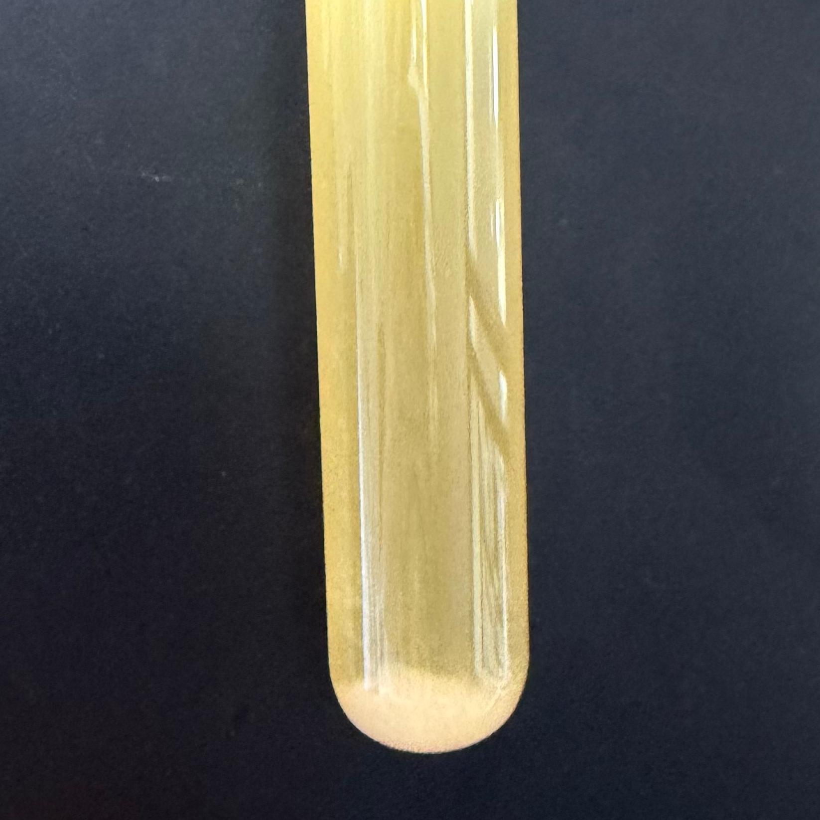 Streptococcus pneumoniae-BNCC