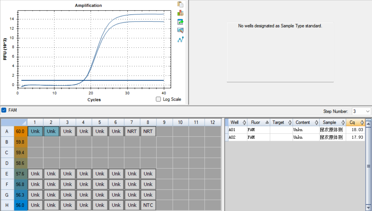 Mouse Chlamydia Nucleic Acid Reference (Heat-inactivated) (Strong Positive)-BNCC