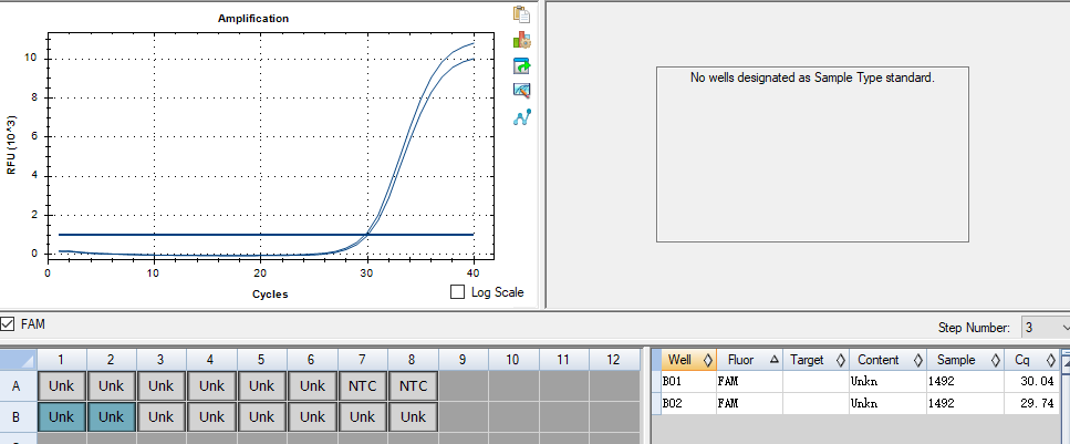 Human herpesvirus type 4 (EB virus) DNA standard-BNCC