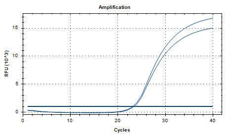 Lactobacillus johnsonii DNA Standard-BNCC