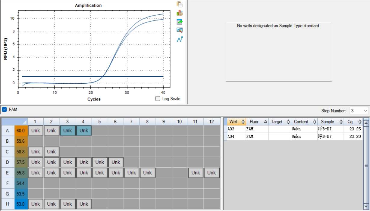 Human respiratory syncytial virus type B RNA standard-BNCC