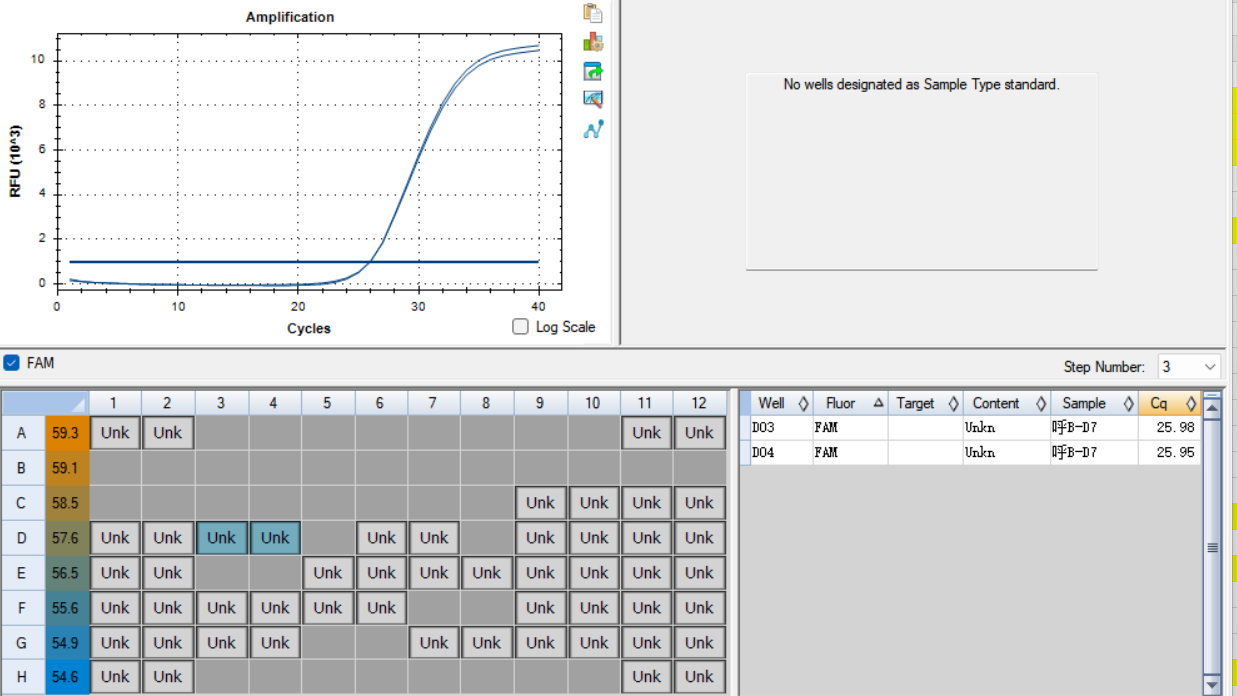 Human respiratory syncytial virus type B RNA standard-BNCC