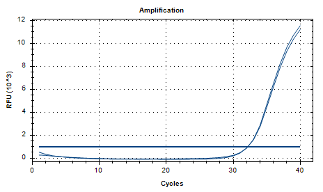 Mycoplasma pneumoniae DNA standard-BNCC