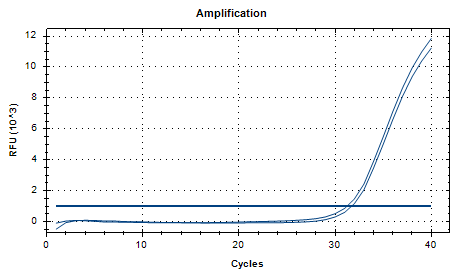 Mycoplasma pneumoniae DNA standard-BNCC