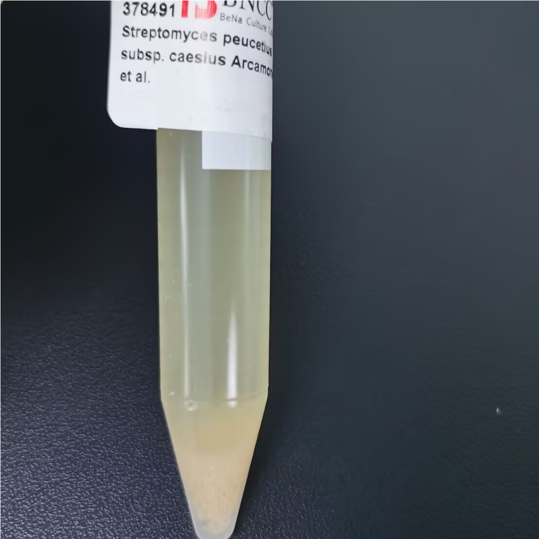 Streptomyces peucetius subsp. caesius Arcamone et al.-BNCC
