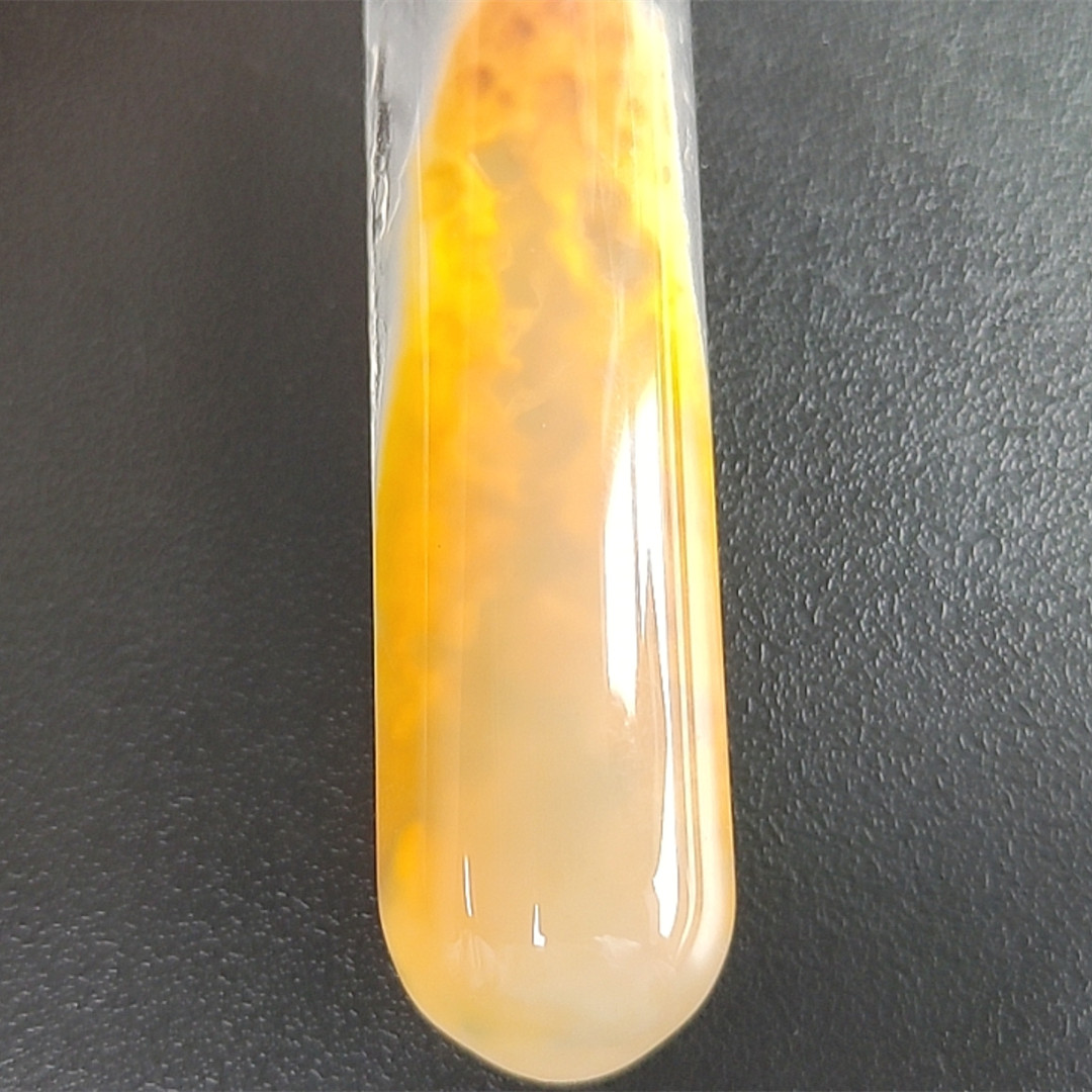 Simplicillium lanosoniveum-BNCC