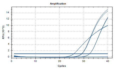 Indoor quality control product for deoxyribonucleic acid liquid of Rhizomucor mihei-BNCC