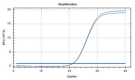 South African mycobacterial deoxyribonucleic acid liquid indoor quality control product-BNCC