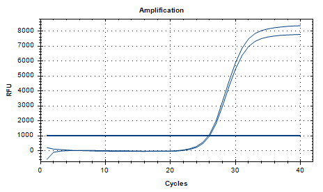 Ureaplasma urealyticum type 1 DNA standard-BNCC