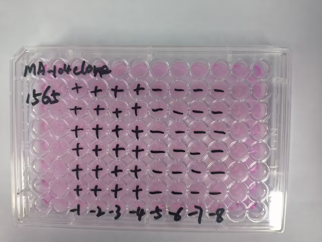 Simian rotavirus-BNCC
