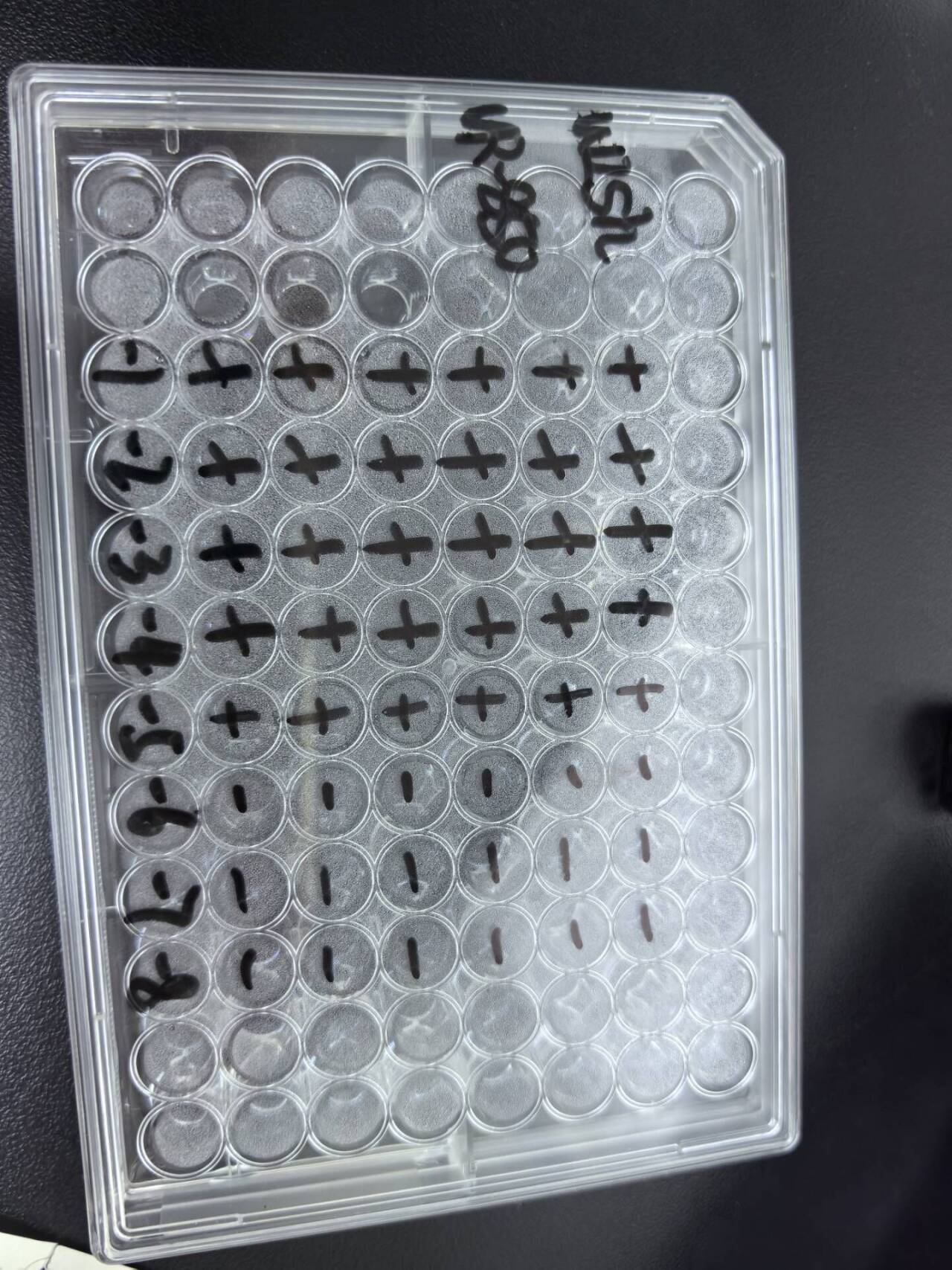 Human Coxsackievirus A21-BNCC