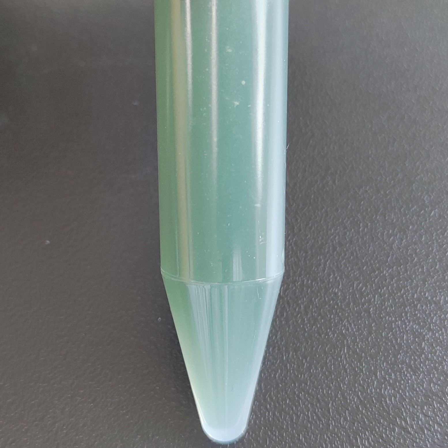 Slow Aspergillus-BNCC