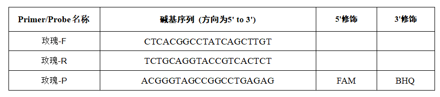 Rose colored Kocuria DNA standard-BNCC