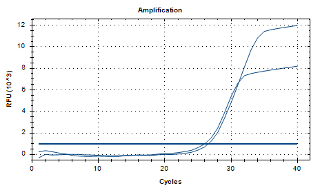Clostridium tetani DNA Standard-BNCC