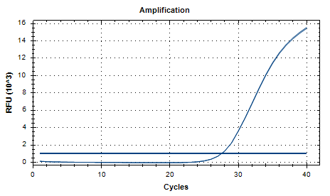 Aspergillus flavus DNA standard-BNCC