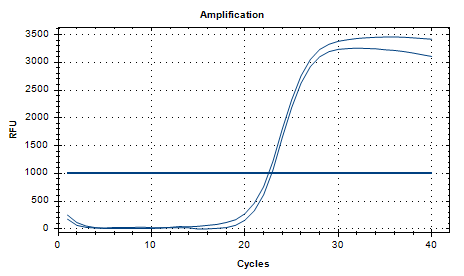 Campylobacter jejuni Nucleic Acid Reference Material (Thermally Inactivated) (Strong Positive)-BNCC