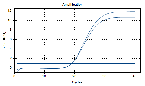 Mycobacterium abscessus Nucleic Acid Reference Material (Thermally Inactivated) (Strongly Positive)-BNCC
