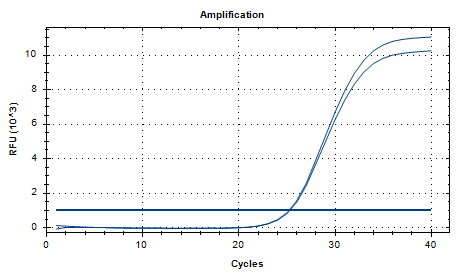Indoor quality control product for deoxyribonucleic acid of Mycobacterium Chimera-BNCC