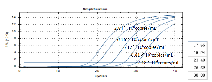 Mycobacterium simiae DNA standard-BNCC