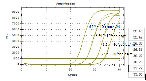DNA standard of Pseudomonas oryzae-BNCC