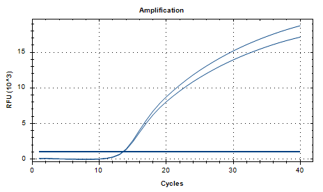New Cryptococcus Nucleic Acid Reference (Heat-inactivated) (Strong Positive)-BNCC