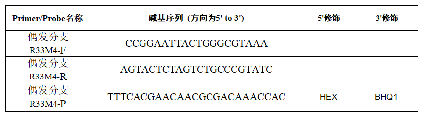 Occasional Mycobacterium DNA standard-BNCC