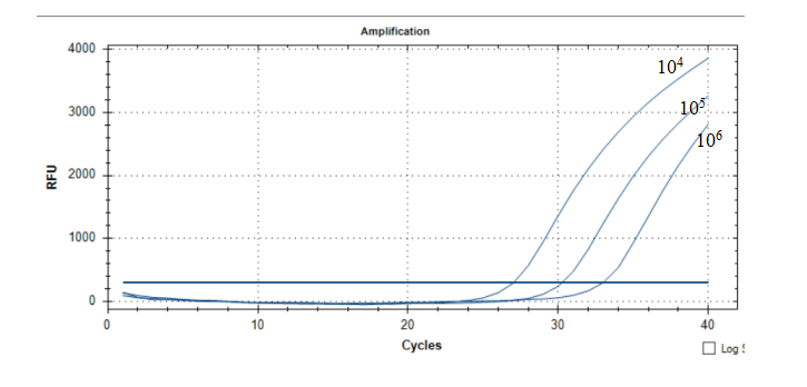 Indoor quality control product for Vibrio parahaemolyticus deoxyribonucleic acid liquid-BNCC