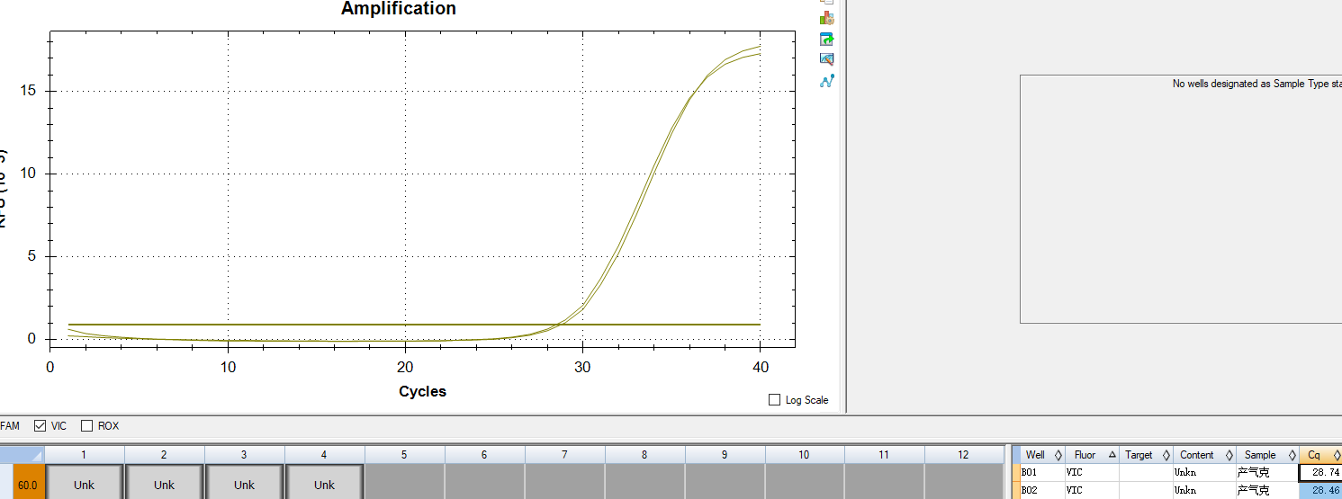 Gas producing Klebsiella DNA standard-BNCC