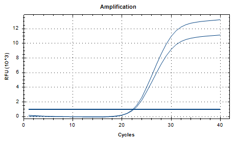 Aspergillus niger DNA Liquid Internal Quality Control Material-BNCC