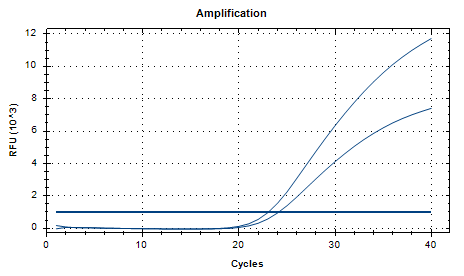 Mycobacterium simiae Nucleic Acid Reference Material (Thermally Inactivated) (Strongly Positive)-BNCC