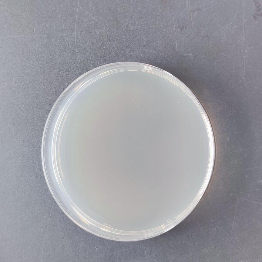 Malmoense Mycobacterium Nucleic Acid Reference Material (Thermally Inactivated) (Strongly Positive)-BNCC