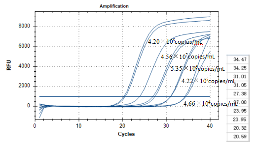 DNA standard of Haemophilus ducreyi-BNCC