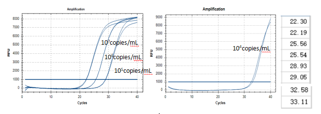 Duquerey Hemophilus Deoxyribonucleic Acid Liquid Indoor Quality Control-BNCC