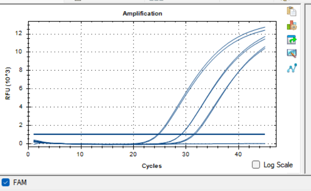 Indoor quality control samples for deoxyribonucleic acid of Rhodotorula mucilaginosa-BNCC