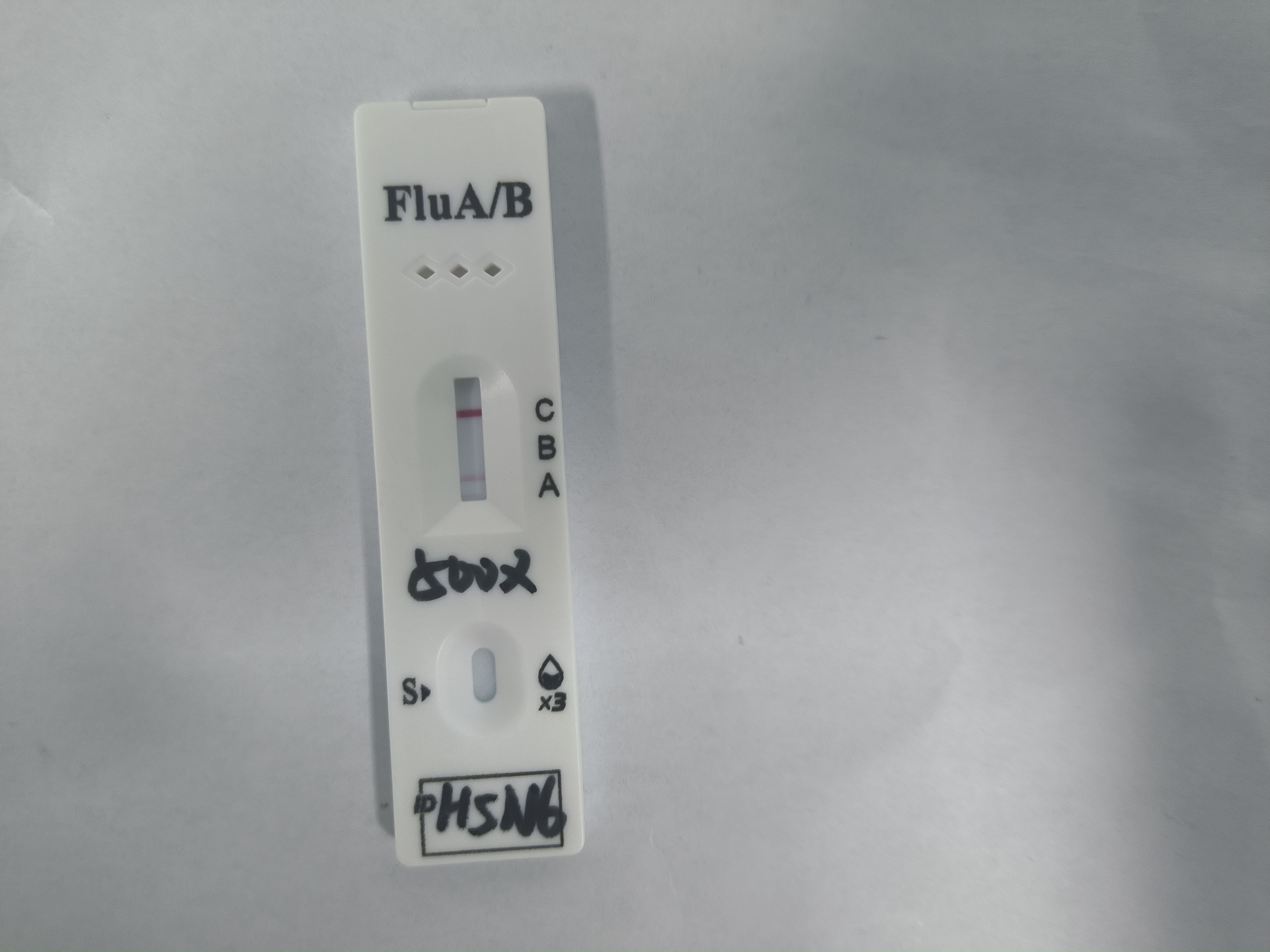 Influenza A virus (H5N6)-BNCC