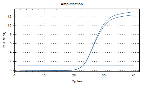 Reference substance for nucleic acid of Bifidobacterium longum (Heat-inactivated) (strongly positive)-BNCC