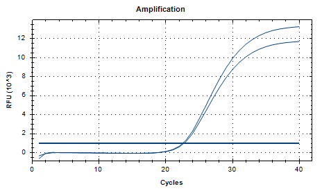 Bifidobacterium animalis Nucleic Acid Reference (Heat-inactivated) (Strong Positive)-BNCC