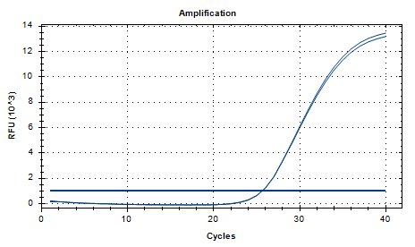 Reference substance for nucleic acid of Cutibacterium acnes (Heat-inactivated) (strongly positive)-BNCC
