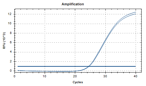 Reference substance for Propionibacterium freudenreichii nucleic acid (Heat-inactivated) (strongly positive)-BNCC