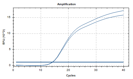 Reference substance for nucleic acid of Fusarium oxysporum (Heat-inactivated) (strongly positive)-BNCC
