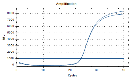 Reference substance for nucleic acid of Corynebacterium krppenstedtii (Heat-inactivated) (strongly positive)-BNCC