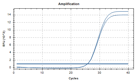 Corynebacterium glutamicum Nucleic Acid Reference Material (Thermally Inactivated) (Strongly Positive)-BNCC