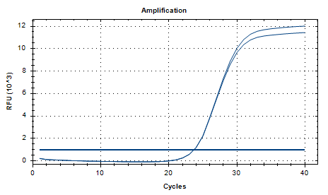 Lactobacillus casei nucleic acid reference substance (Heat-inactivated) (strongly positive)-BNCC